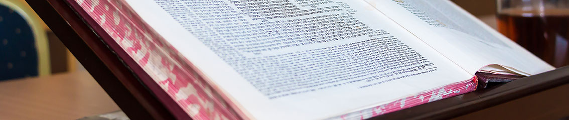 banner-gniza
